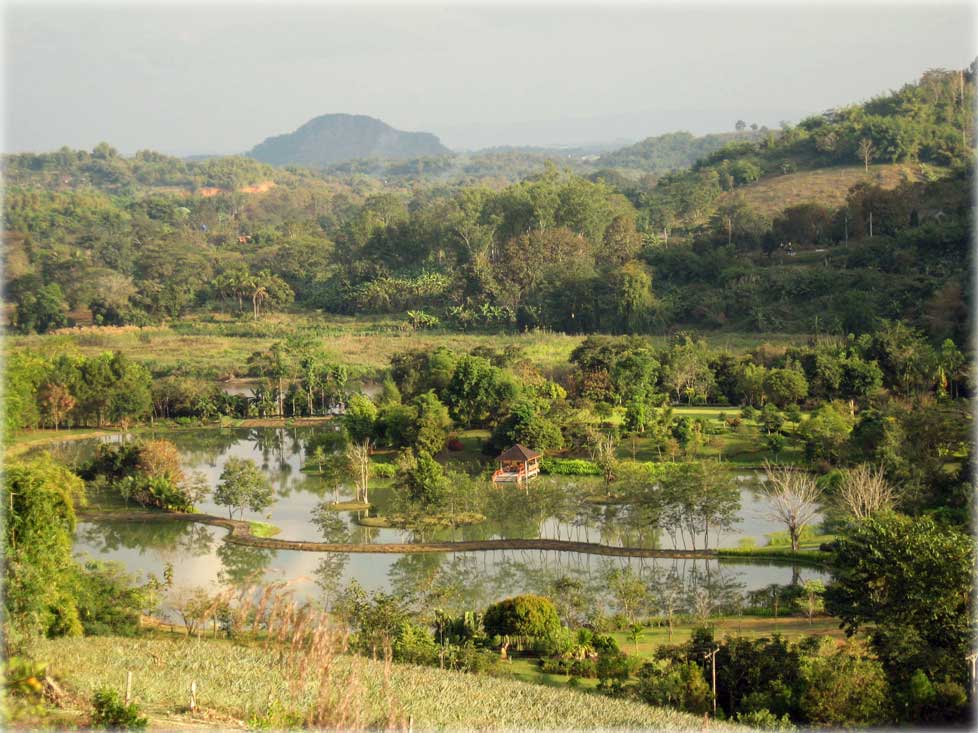 View from land in Chiang Rai
